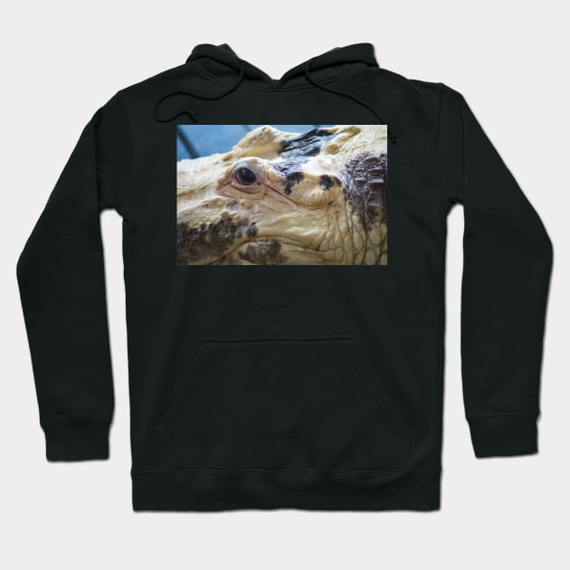 Albino Alligator Hoodie by KensLensDesigns